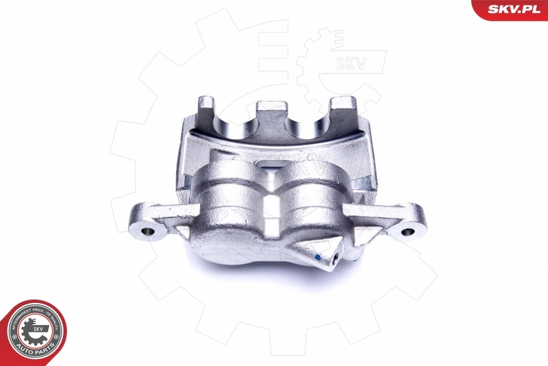 Brake Caliper 44SKV881