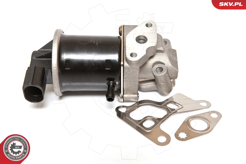 EGR Valve 14SKV074