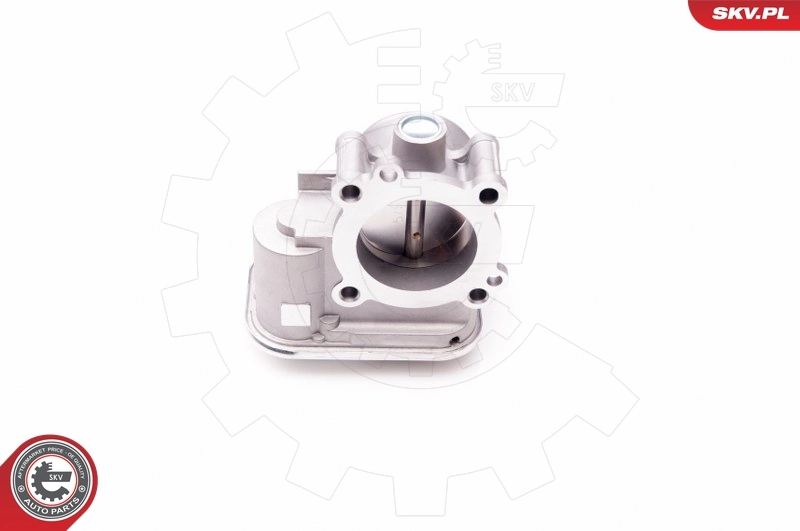 Throttle Body 12SKV066