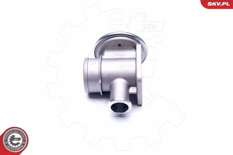 EGR Valve 14SKV179