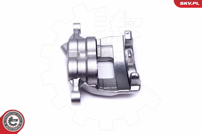 Brake Caliper 50SKV012