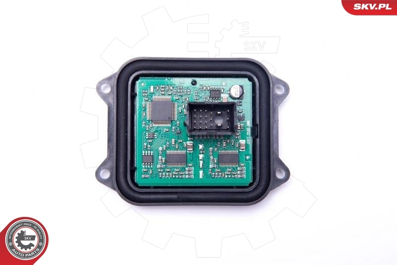 ESEN SKV 59SKV135 Control Unit, lights