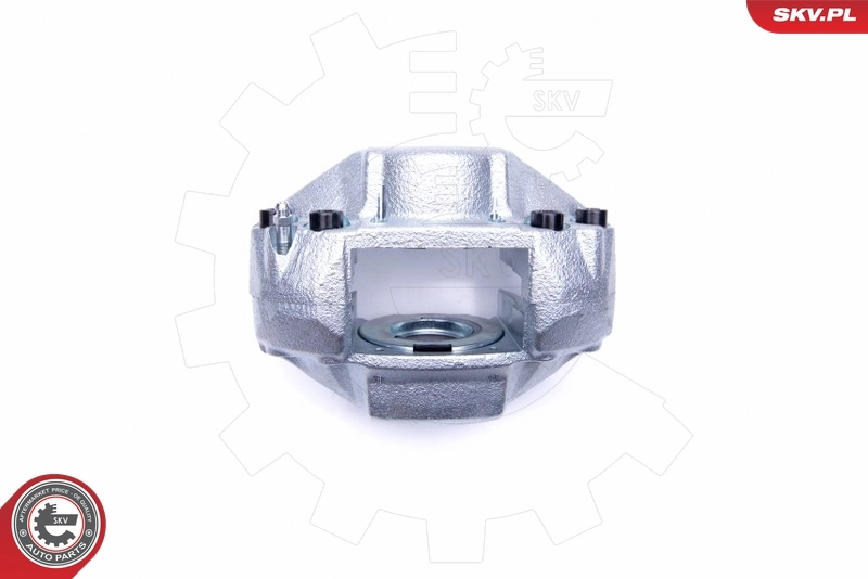 ESEN SKV 45SKV252 Brake Caliper
