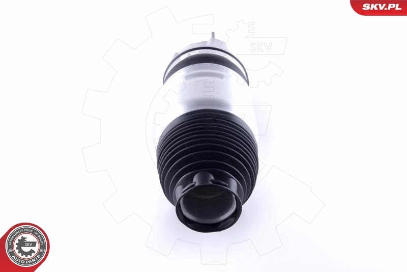 Air Spring, suspension 58SKV047