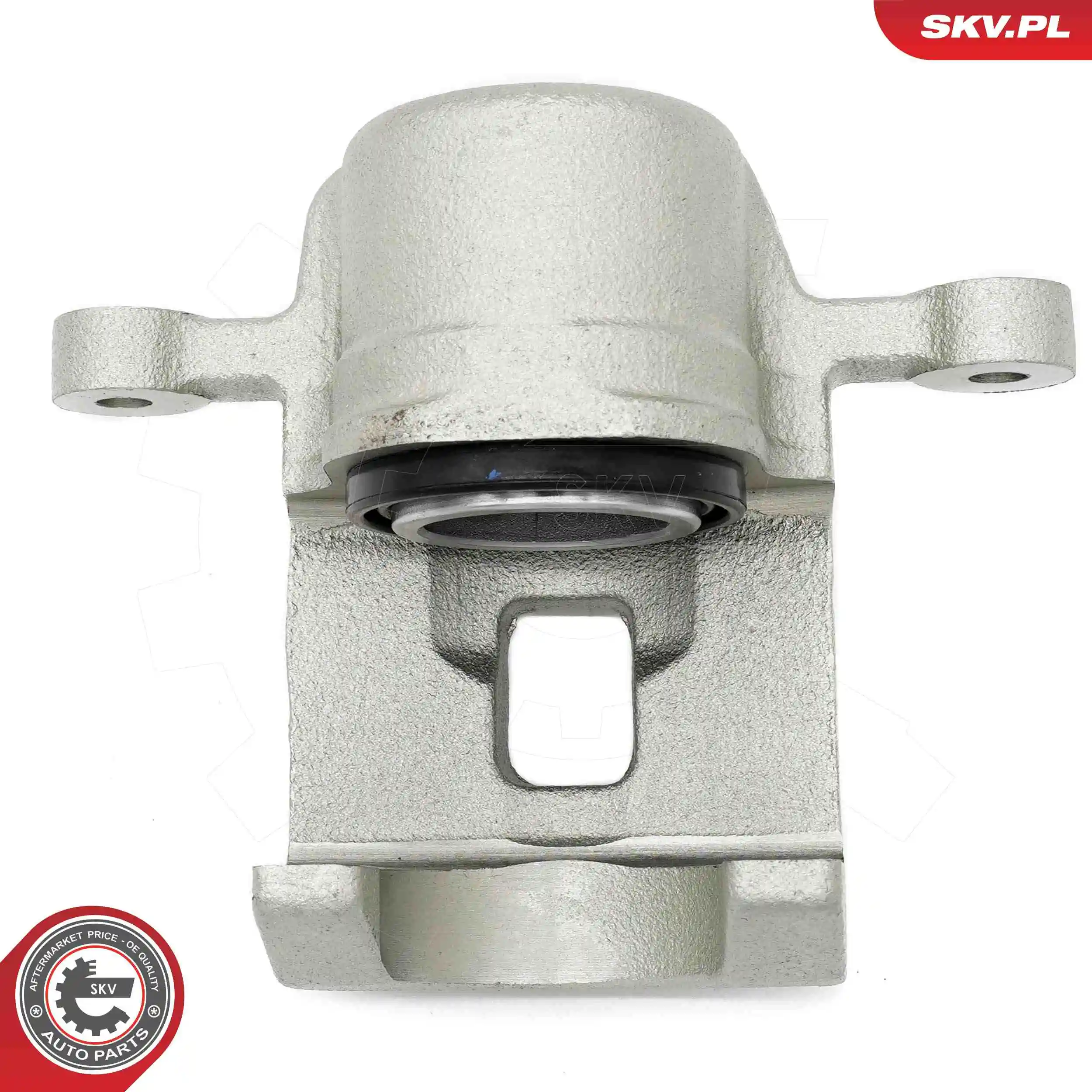 Brake Caliper 67SKV303