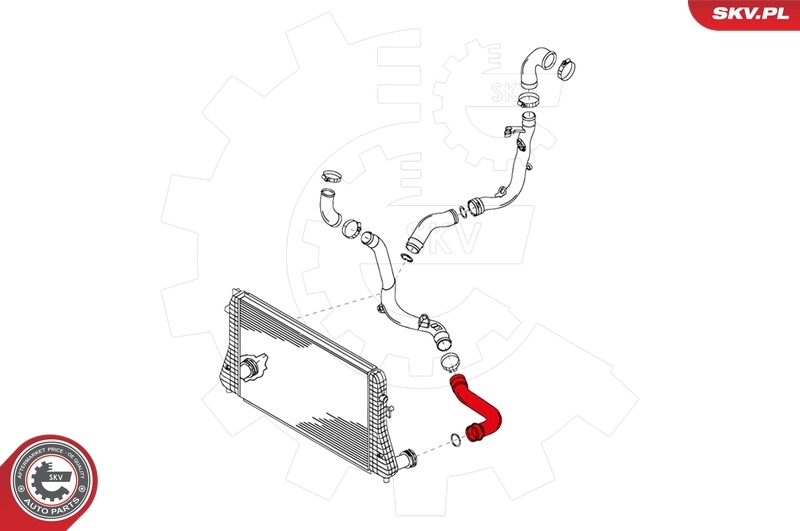 Charge Air Hose 24SKV050