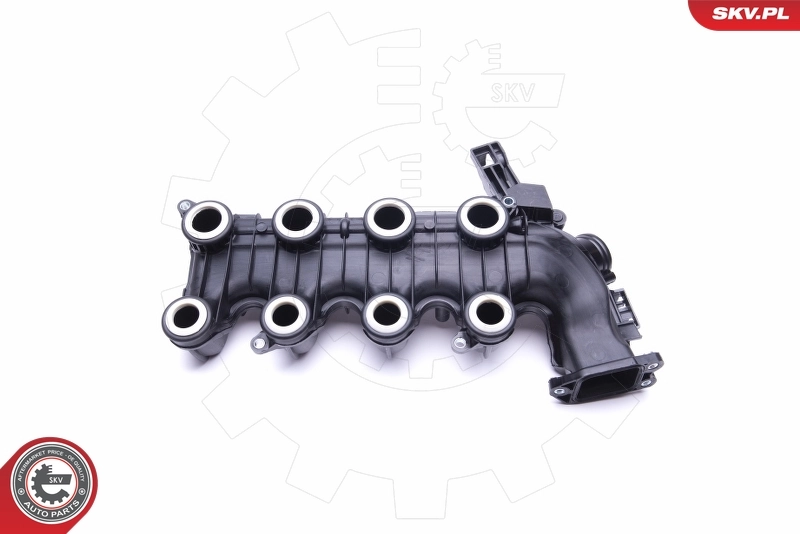 Intake Manifold Module 49SKV022