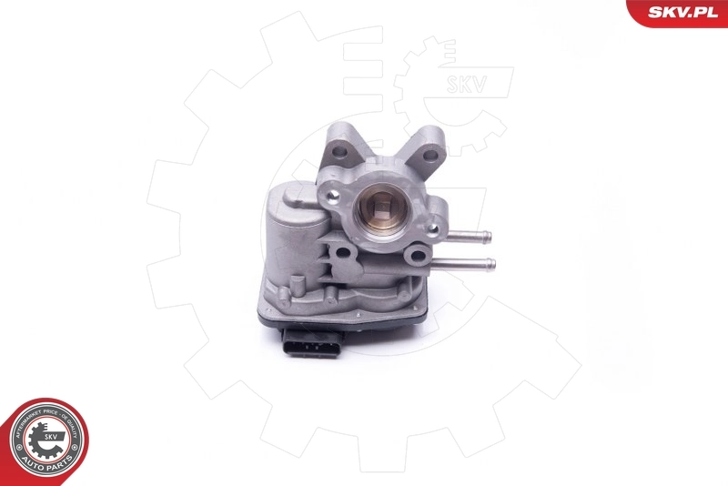 EGR Valve 14SKV103