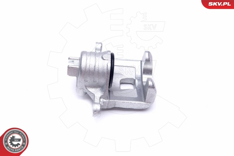 Brake Caliper 45SKV673