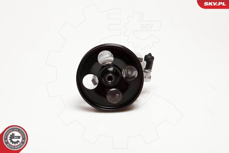 Hydraulic Pump, steering 10SKV100