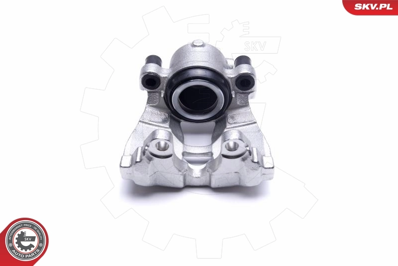 Brake Caliper 55SKV492