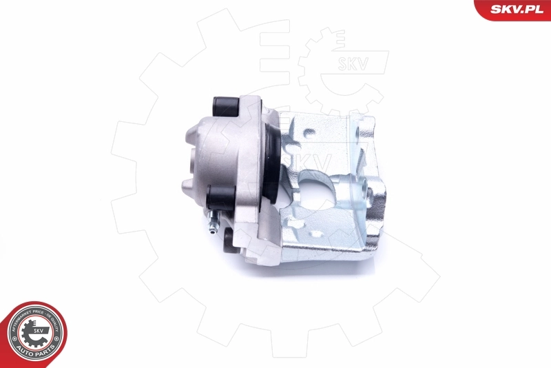 Brake Caliper 42SKV821