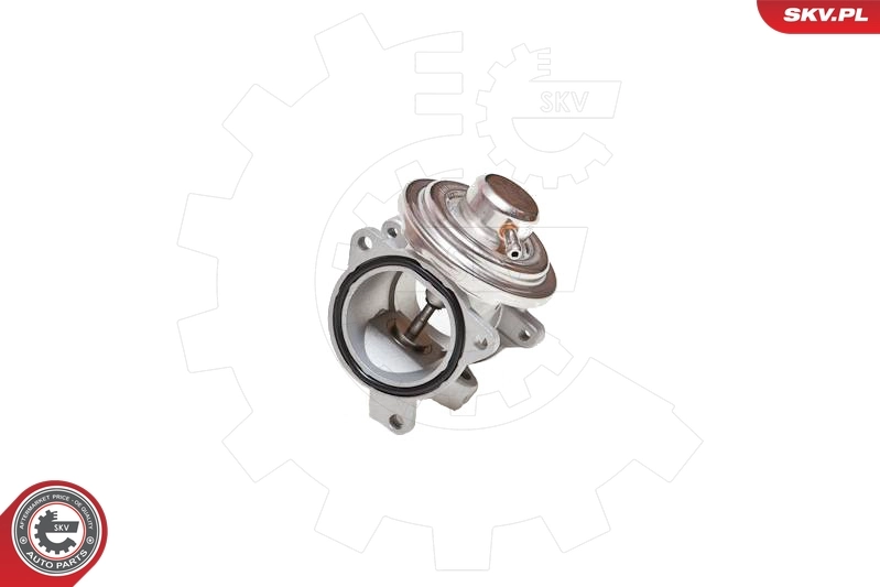 EGR Valve 14SKV034