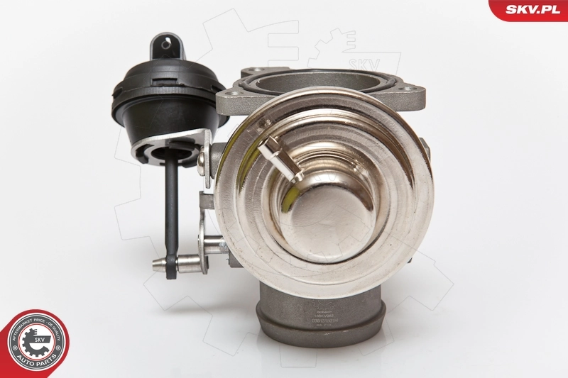 EGR Valve 14SKV082