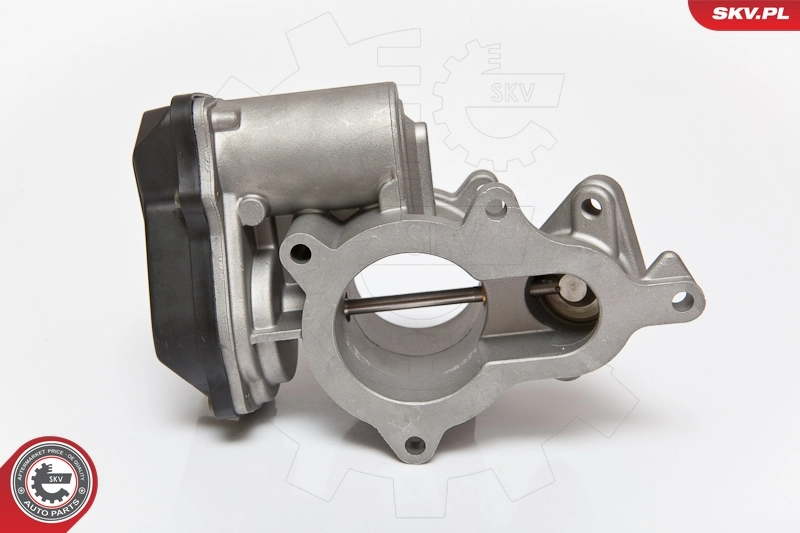 EGR Valve 14SKV083