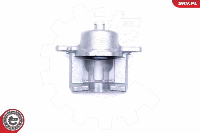 Brake Caliper 50SKV742