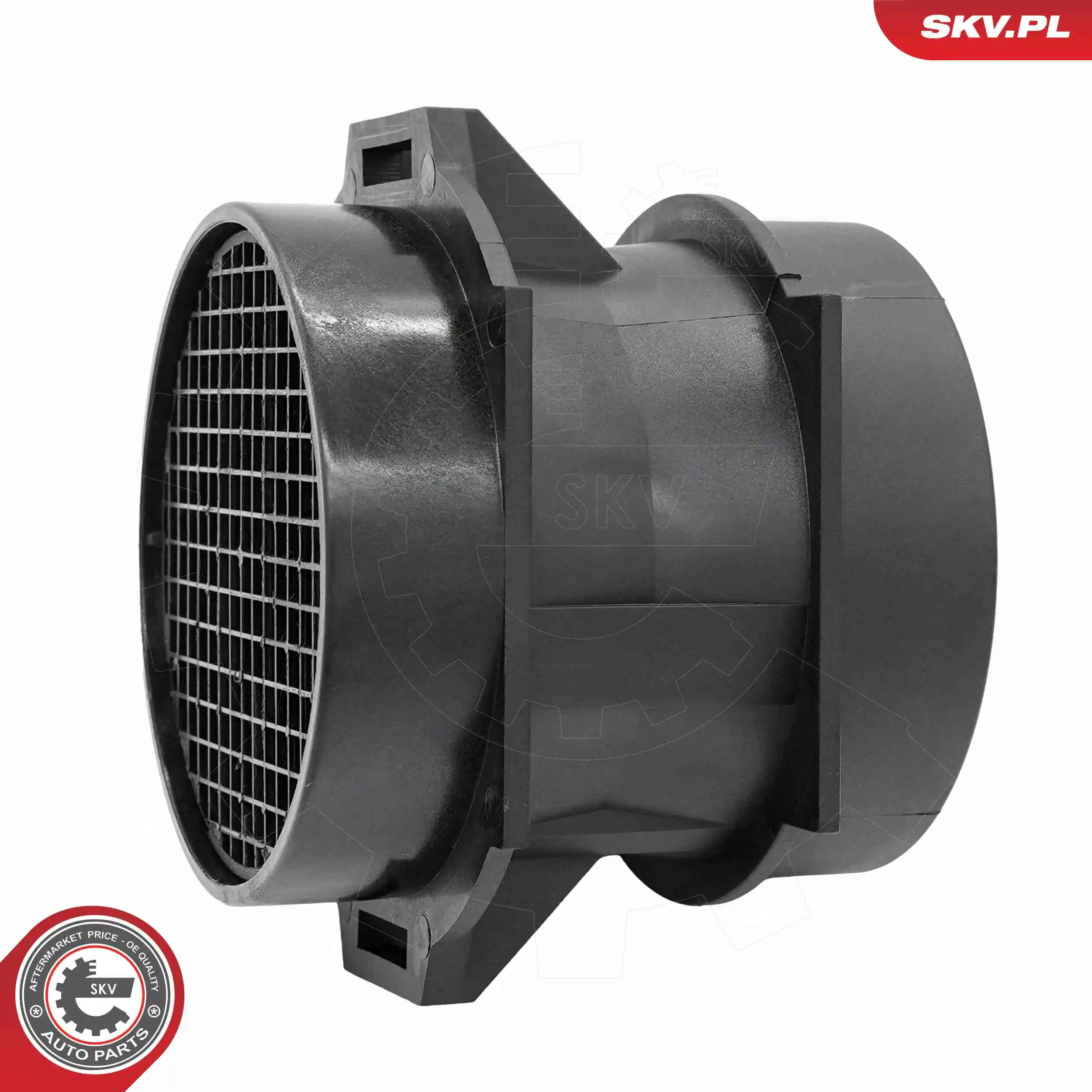 Mass Air Flow Sensor 07SKV294