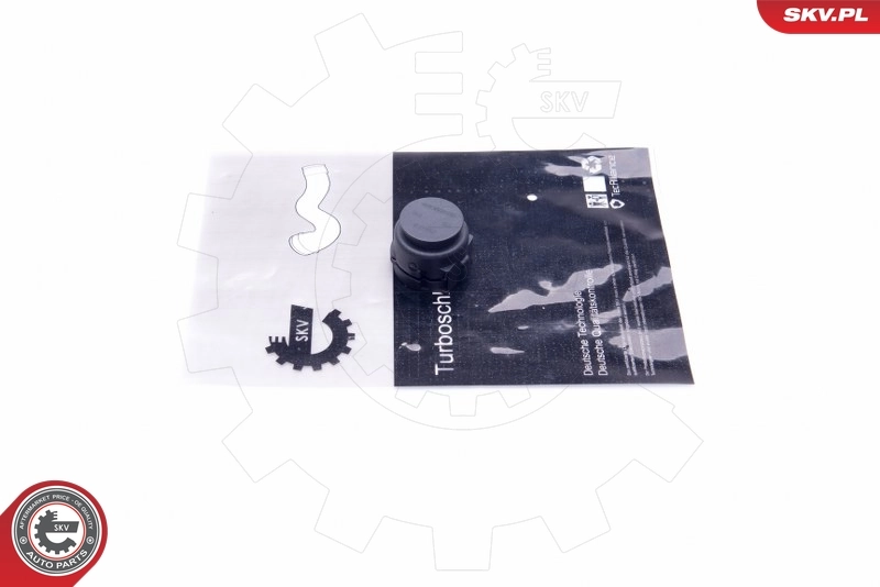 Sealing Plug, coolant flange 43SKV620