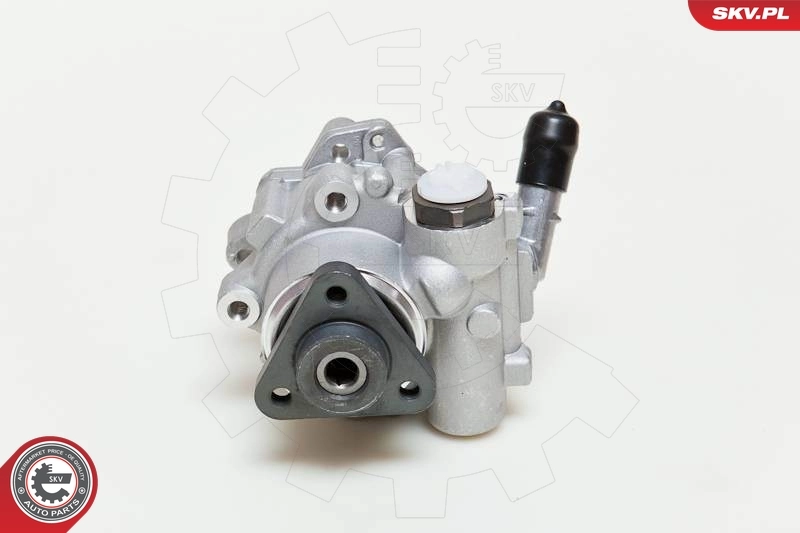 Hydraulic Pump, steering 10SKV048
