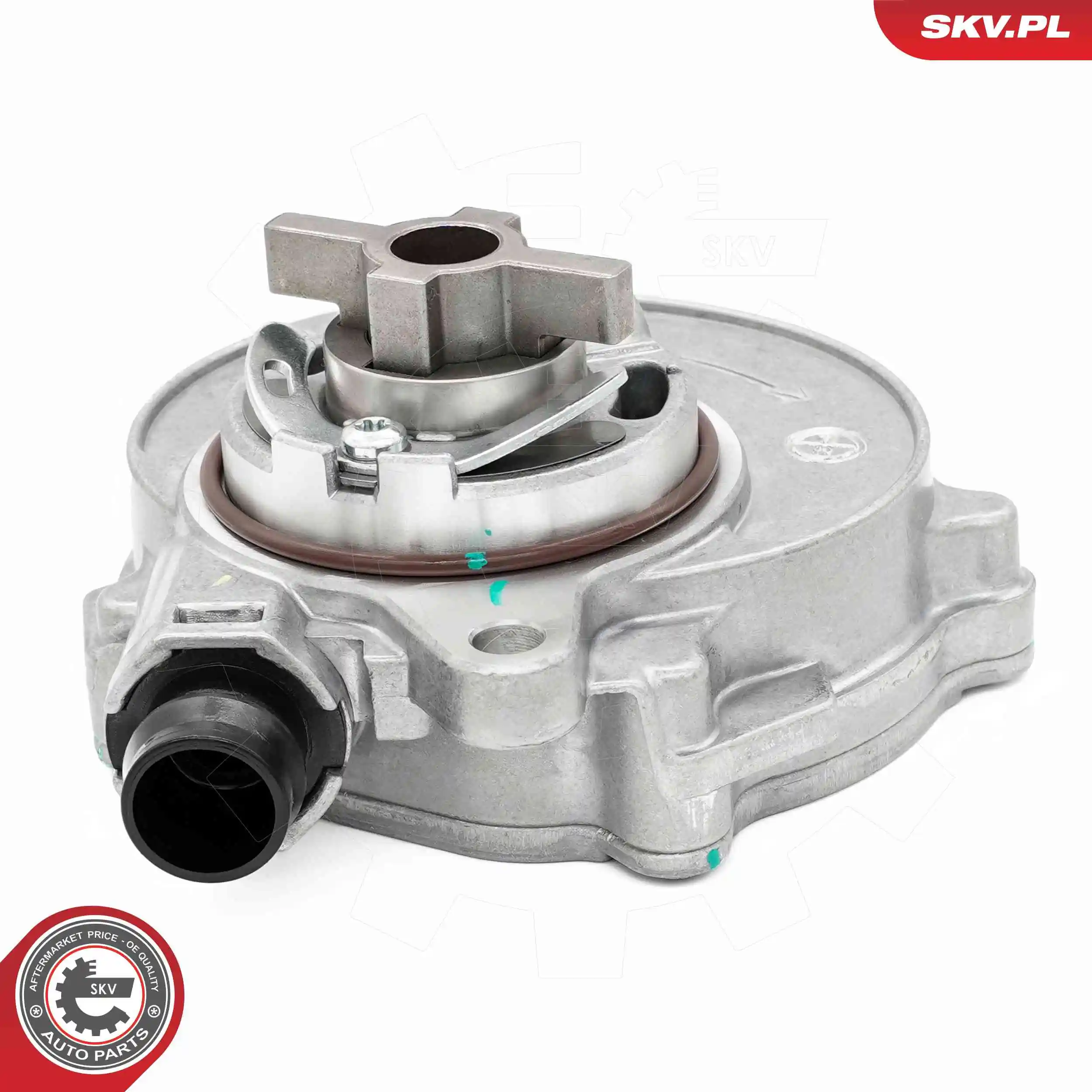 Vacuum Pump, braking system 18SKV075