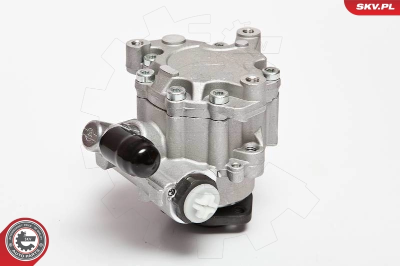 Hydraulic Pump, steering 10SKV043