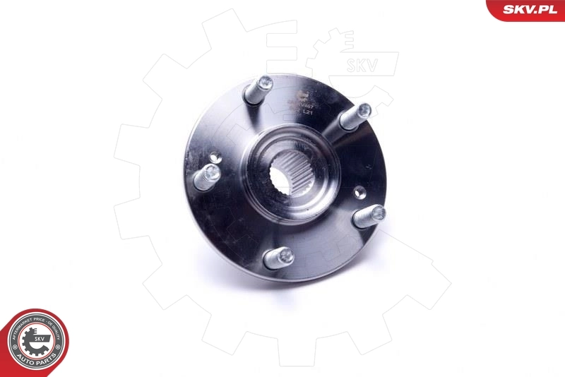 ESEN SKV 29SKV467 Wheel Bearing Kit