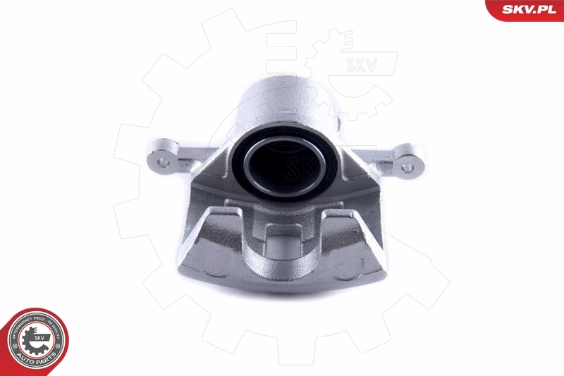 Brake Caliper 55SKV112