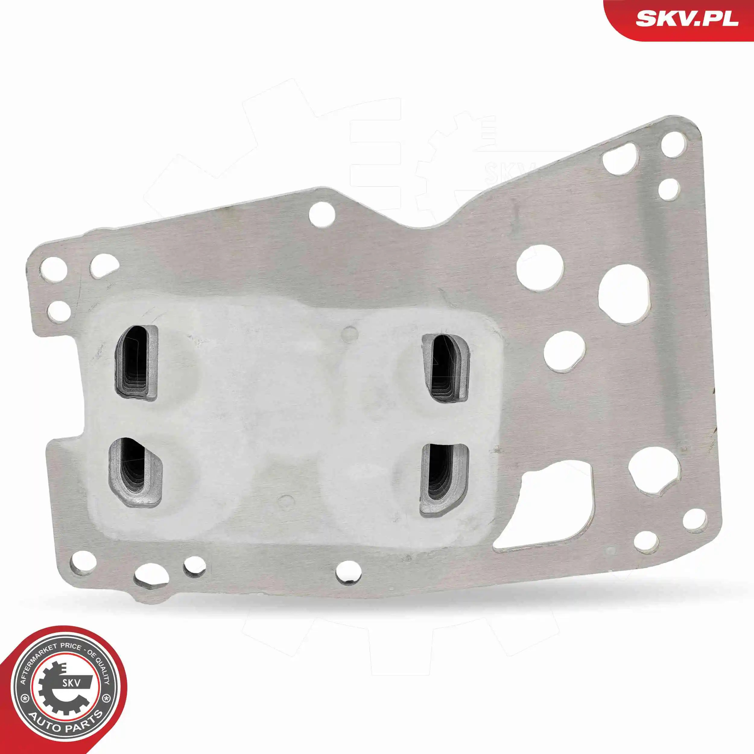 Oil Cooler, engine oil 31SKV332