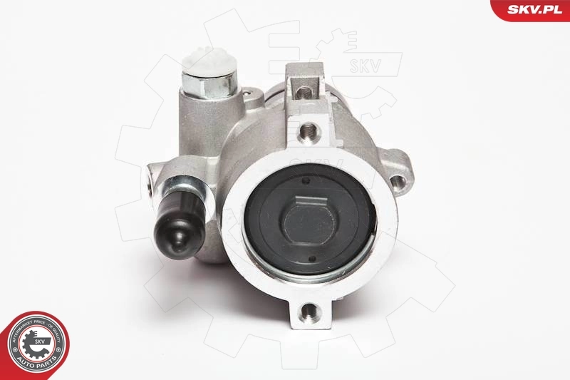 Hydraulic Pump, steering 10SKV089