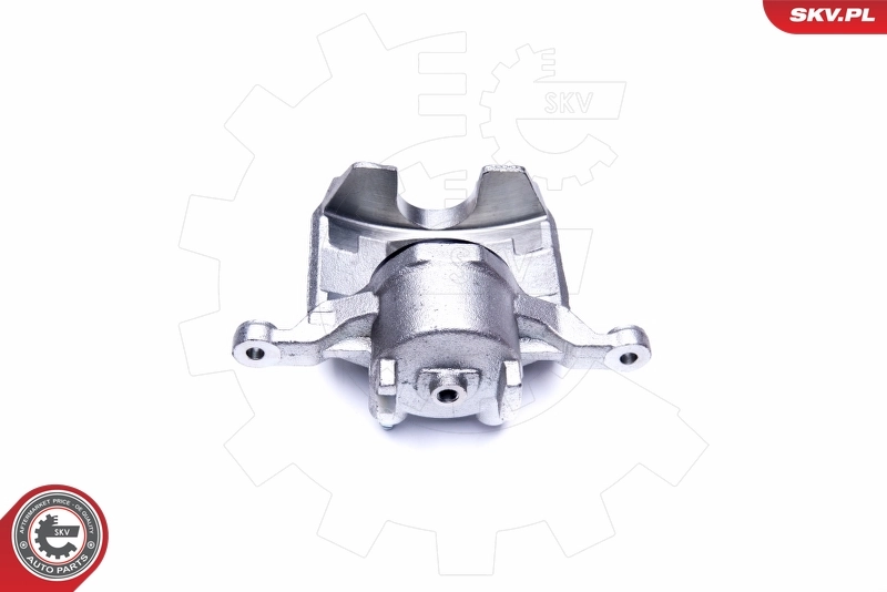 Brake Caliper 44SKV961