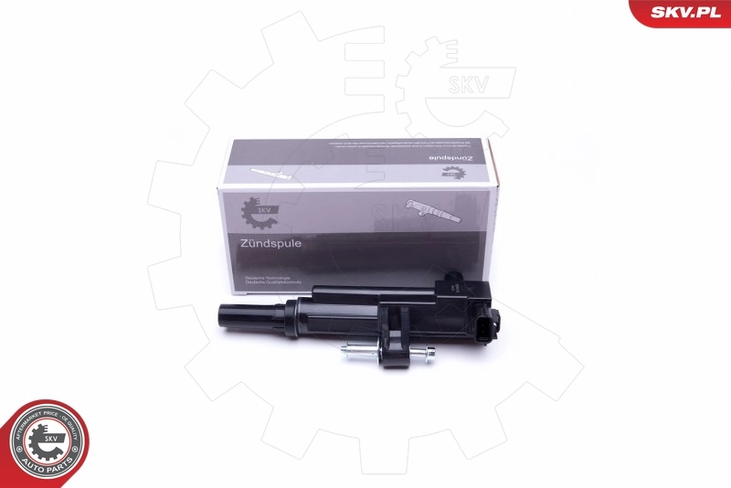 Ignition Coil 03SKV319