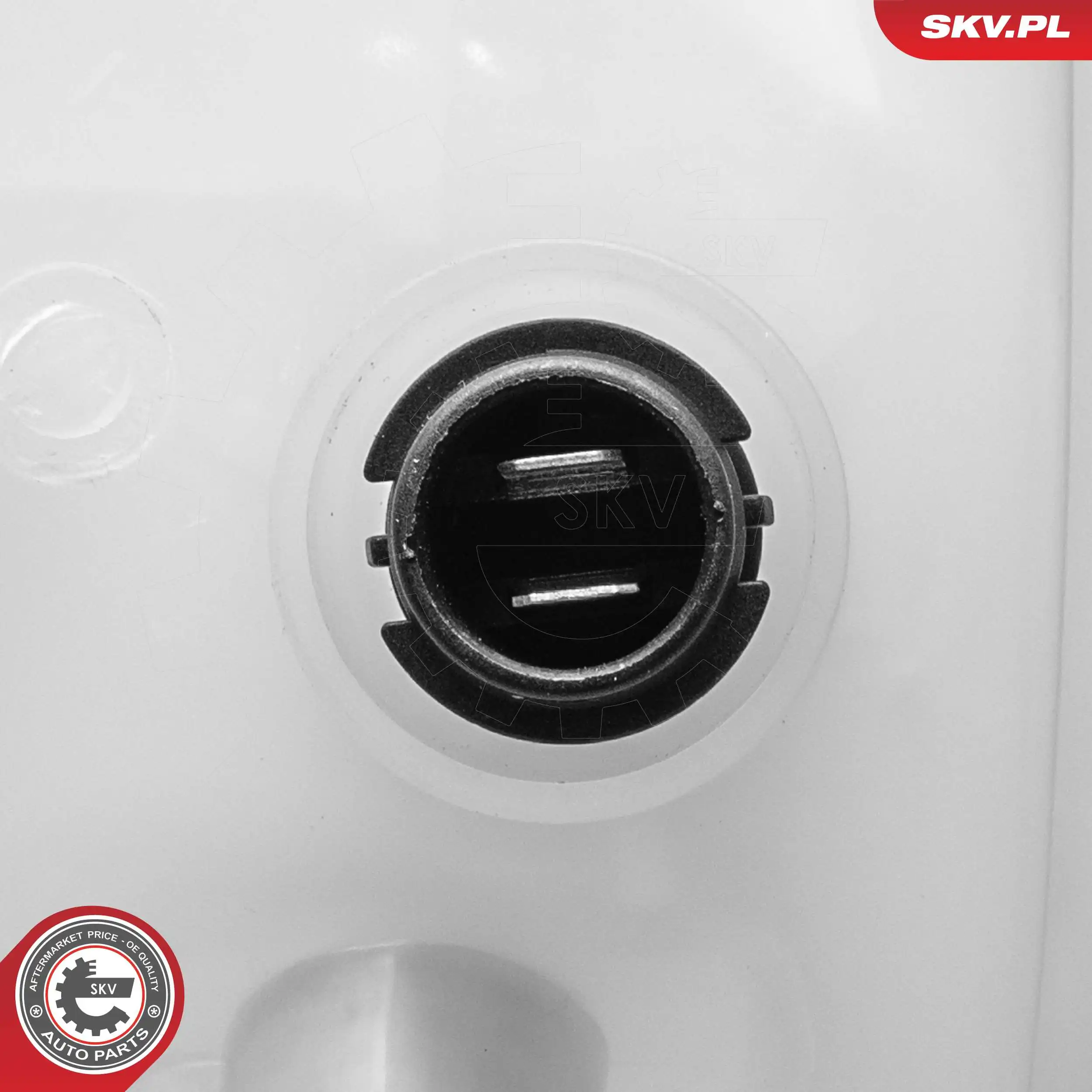 Expansion Tank, coolant 61SKV310