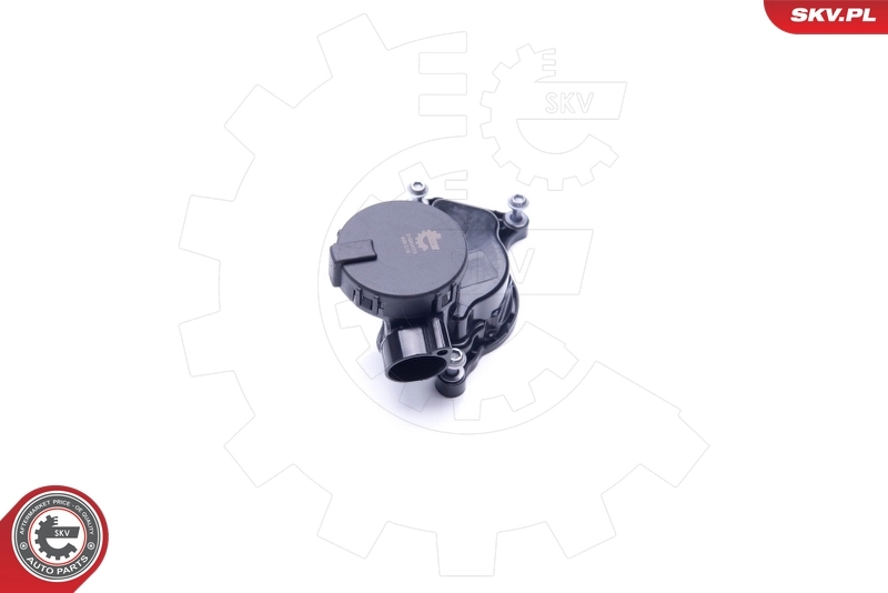 Valve, crankcase ventilation 31SKV070