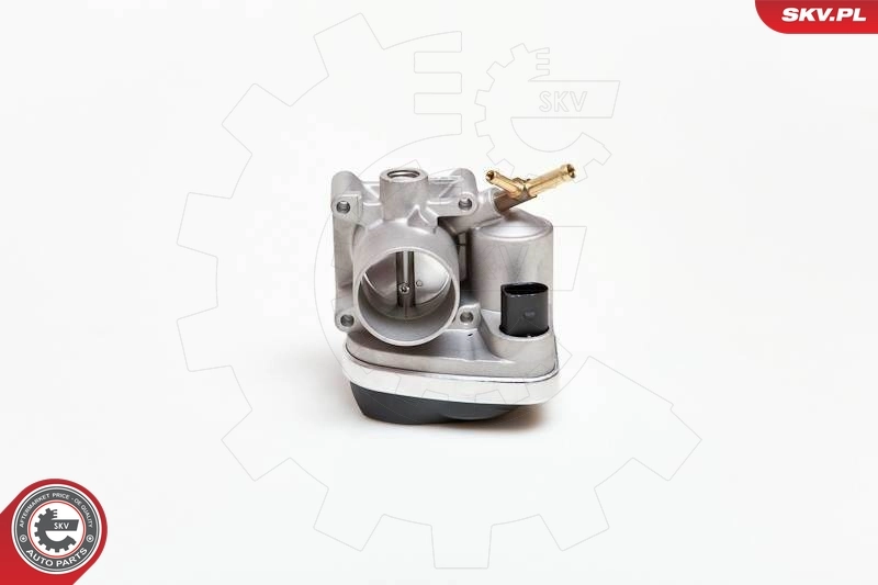 Throttle Body 12SKV028