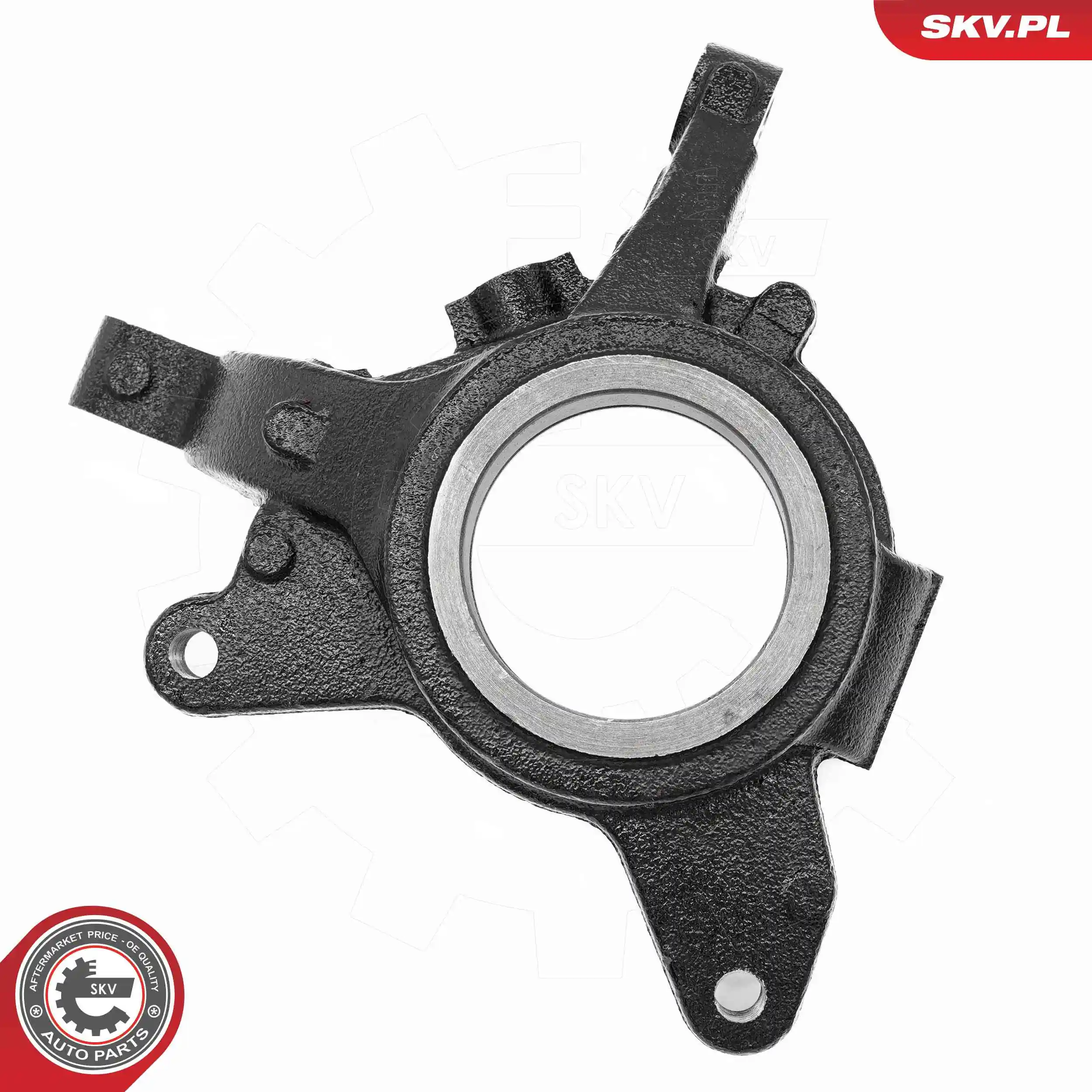 Steering Knuckle, wheel suspension 73SKV081