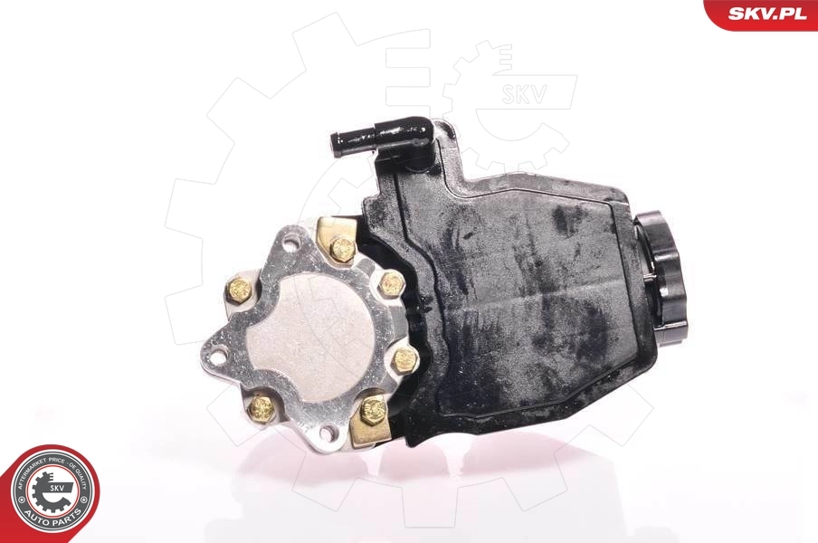 Hydraulic Pump, steering 10SKV160