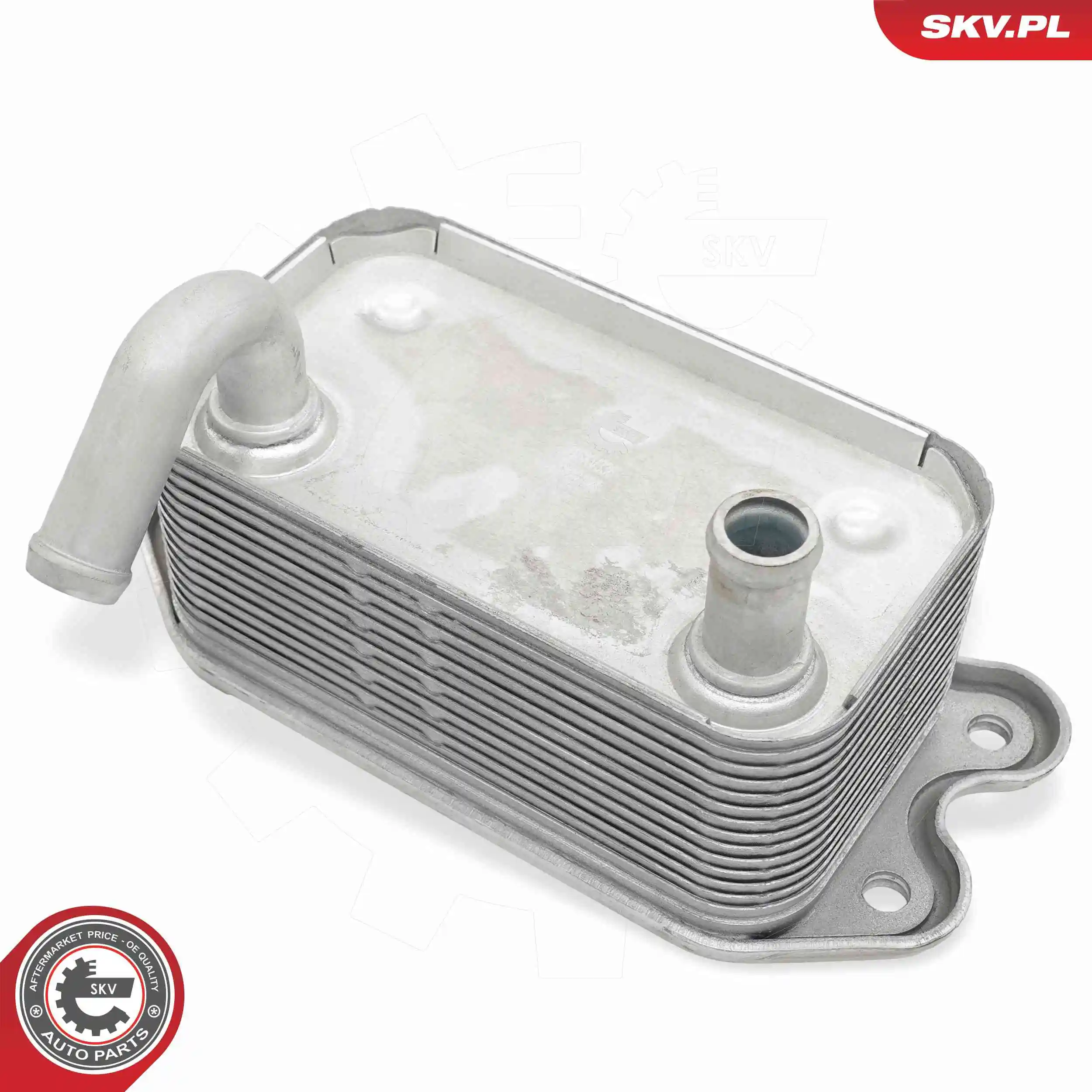 Oil Cooler, engine oil 31SKV336