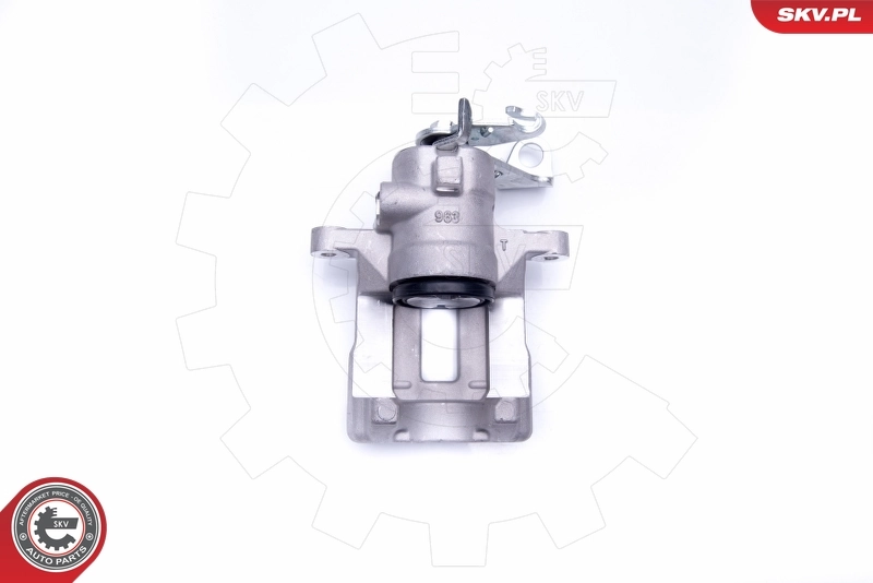 Brake Caliper 45SKV113