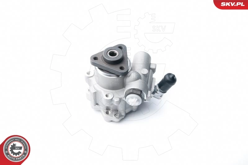 Hydraulic Pump, steering 10SKV122