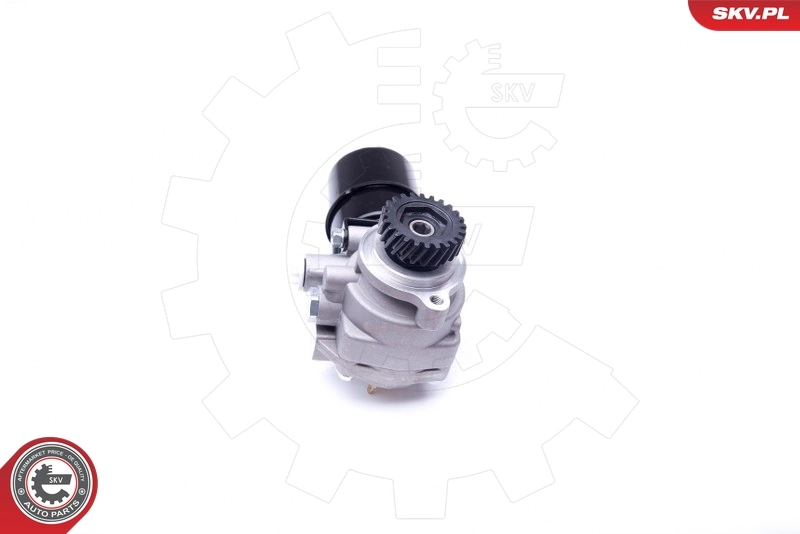 Hydraulic Pump, steering 10SKV274