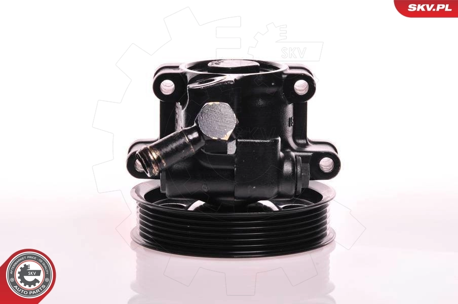 Hydraulic Pump, steering 10SKV019