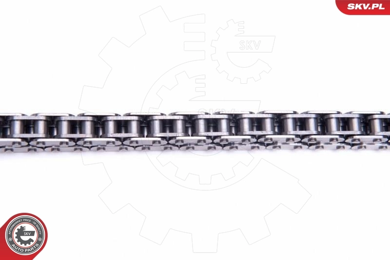 Timing Chain Kit 21SKV169