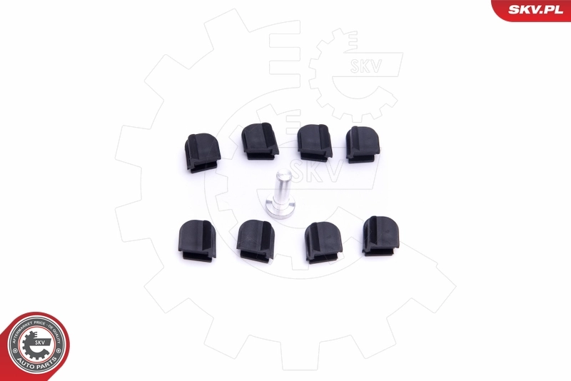 ESEN SKV 49SKV560 Repair Kit, intake manifold module