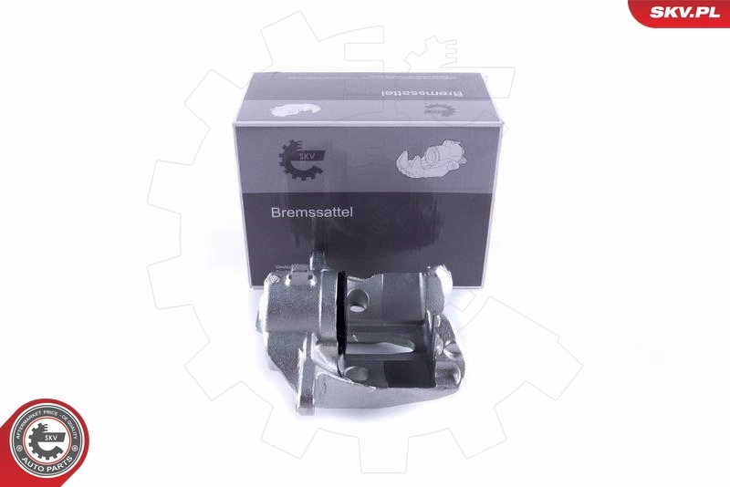 Brake Caliper 55SKV172