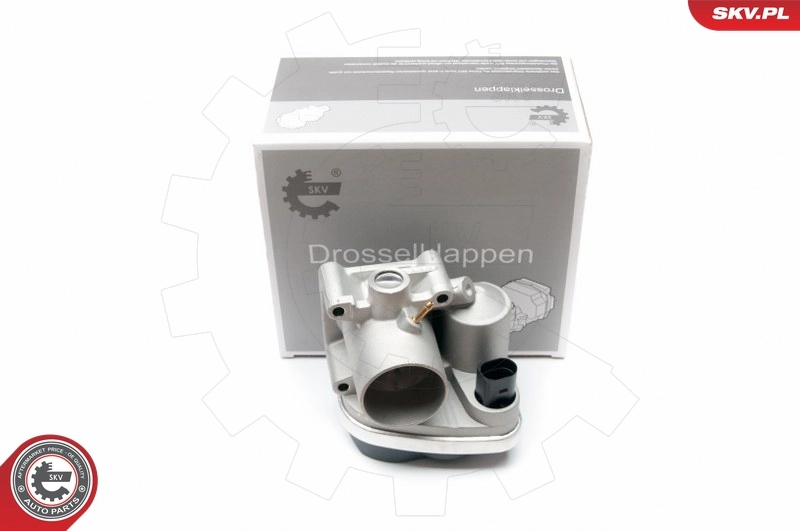 Throttle Body 12SKV042