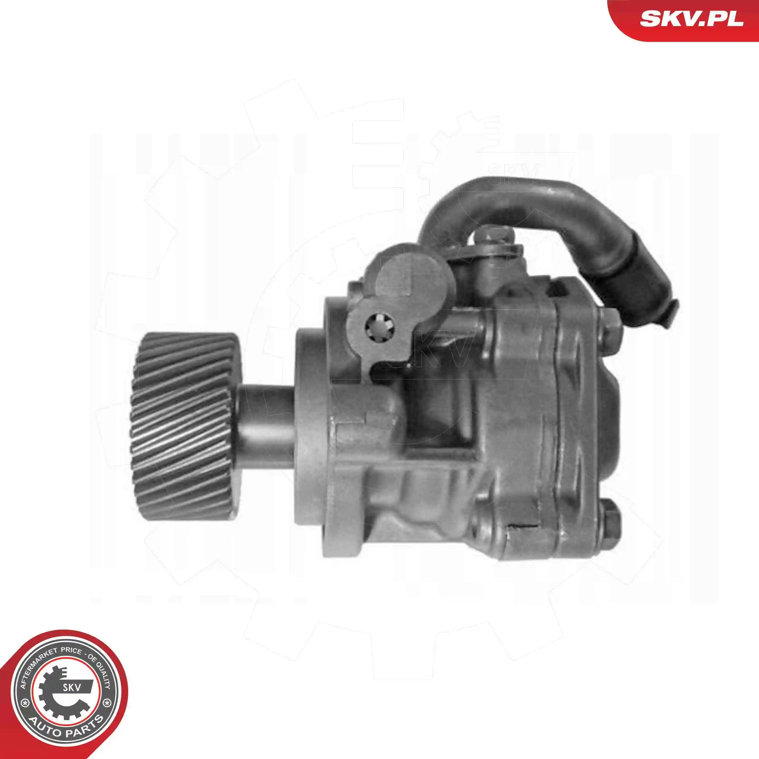 Hydraulic Pump, steering 10SKV323