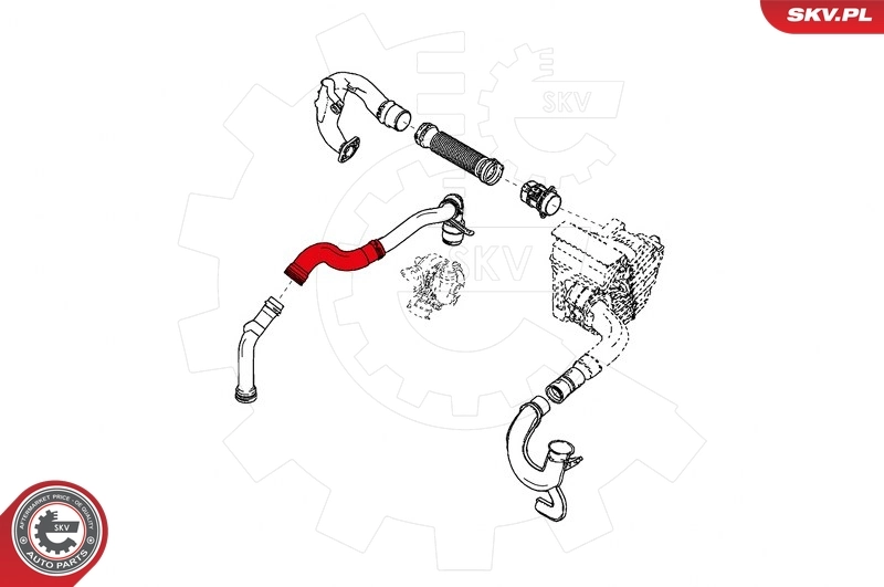 Charge Air Hose 24SKV892