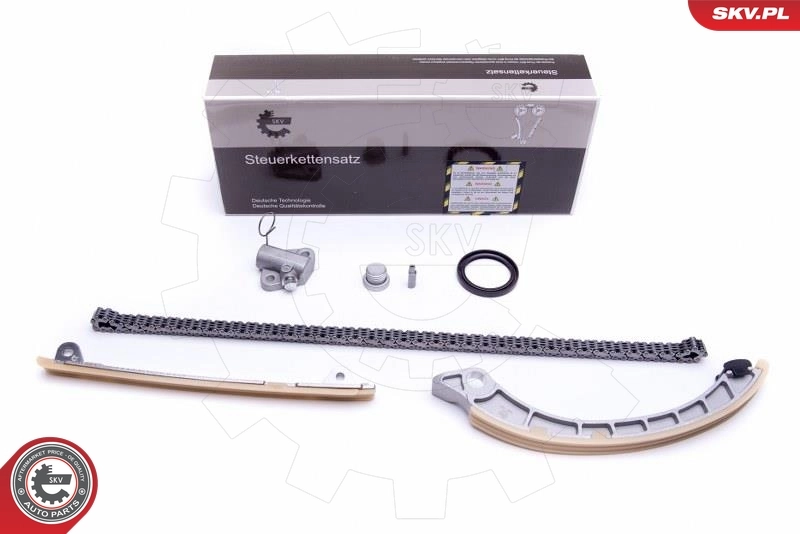 Timing Chain Kit 21SKV222