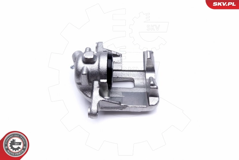 Brake Caliper 42SKV641