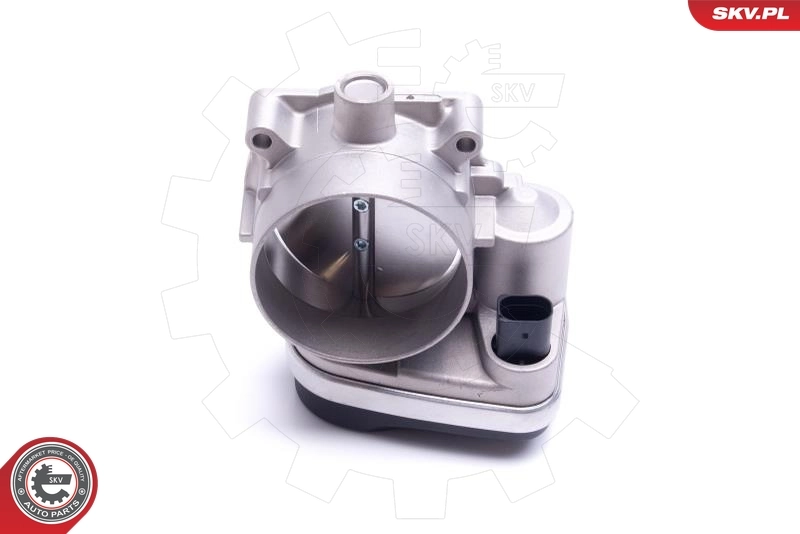 ESEN SKV 12SKV108 Throttle Body